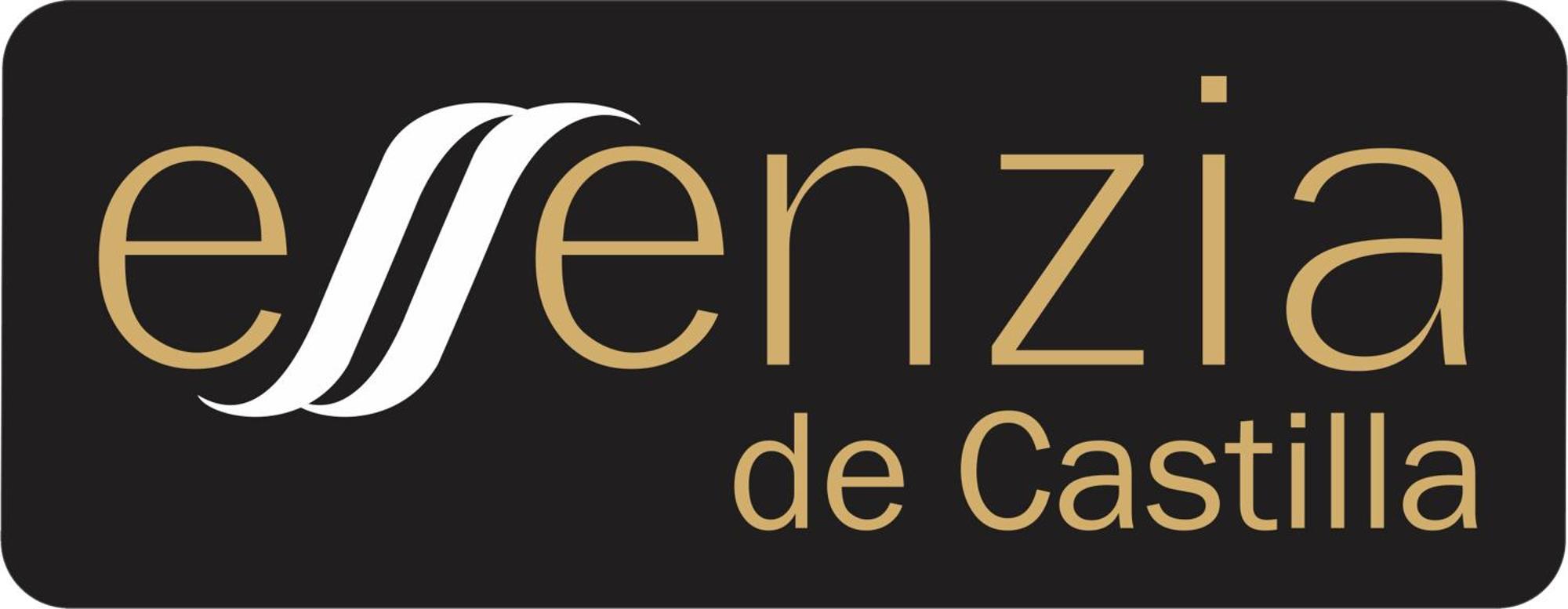 Aparthotel Essenzia de Castilla Aranda de Duero Exterior foto